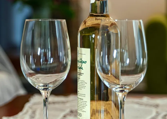 Fotini's House Pelion Case de vacanță *